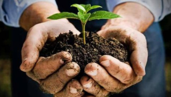 Learn about Watersheds