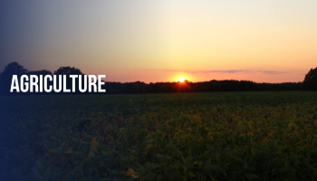 Agriculture
