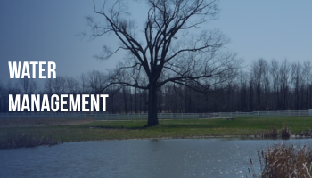 Water Management