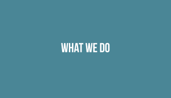 What We Do