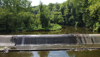 Cloverlick Creek Dam