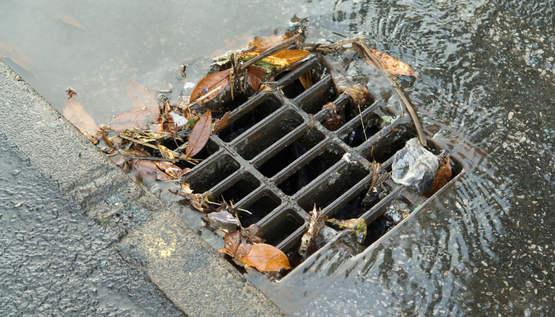 A storm drain with leaves partially blocking water flow