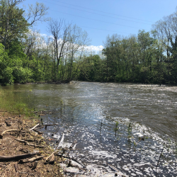 Batavia Dam Removal