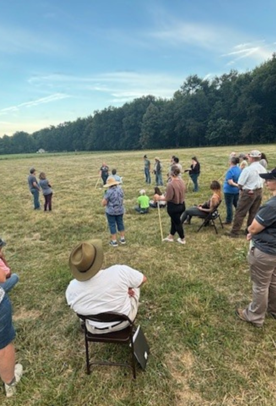 Pasture Walk