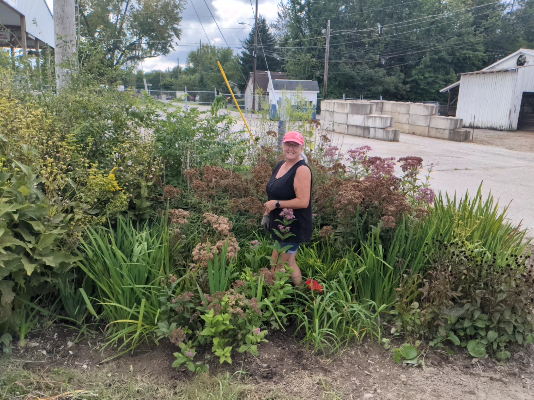 rain garden before
